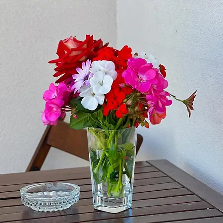 Guest house Garden A&x