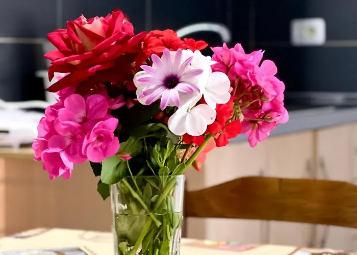 Garden A&x Affittacamere