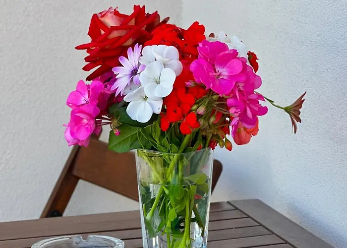 Gæstehus Garden A&x